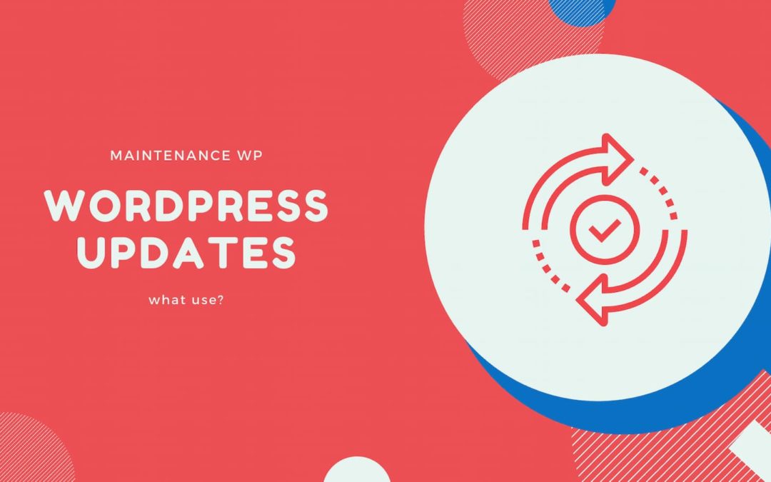 WordPress updates, what’s the point?